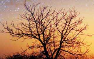 华体会验证码？一眼辨别真假入口？官方不会这么催你