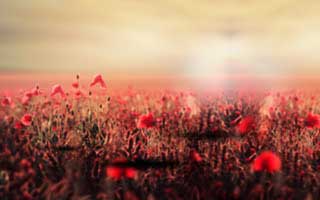 入口辨别…华体会群里转发的链接自检清单…官方不会这么催你